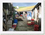 1843-Straight off the boat - Port Isaac * 800 x 600 * (93KB)
